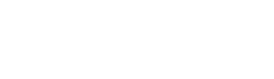 iPort by Sonance