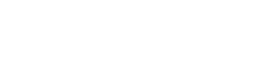 Savant