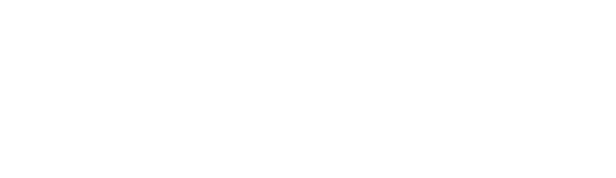 Speco Technologies